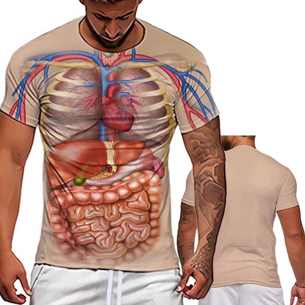 3D Printing Diagram - Male Skeleton Internal Organs 3D Printing