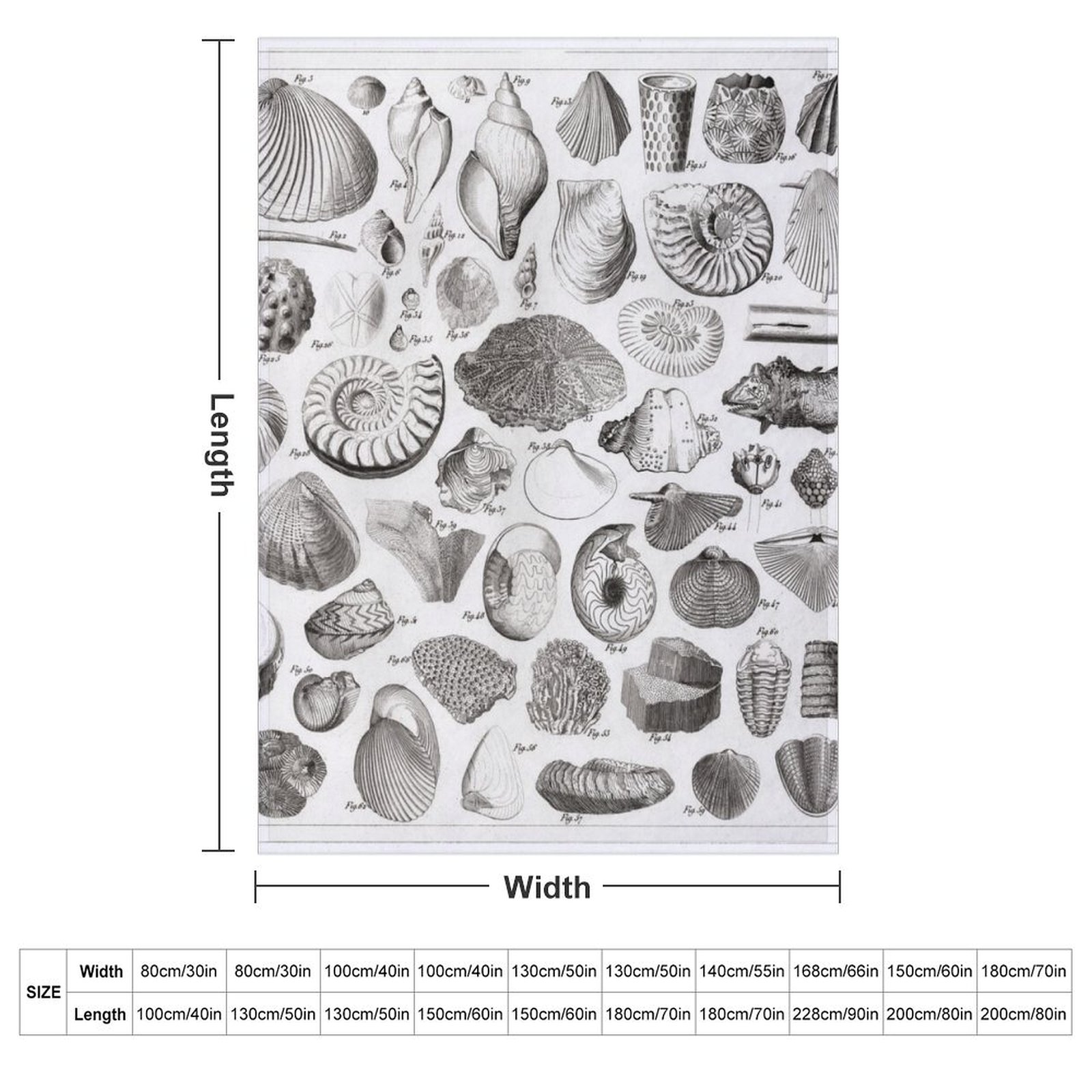 1857 Diagram Paleontology: Fos - 3D Printing Diagram reseña y precio