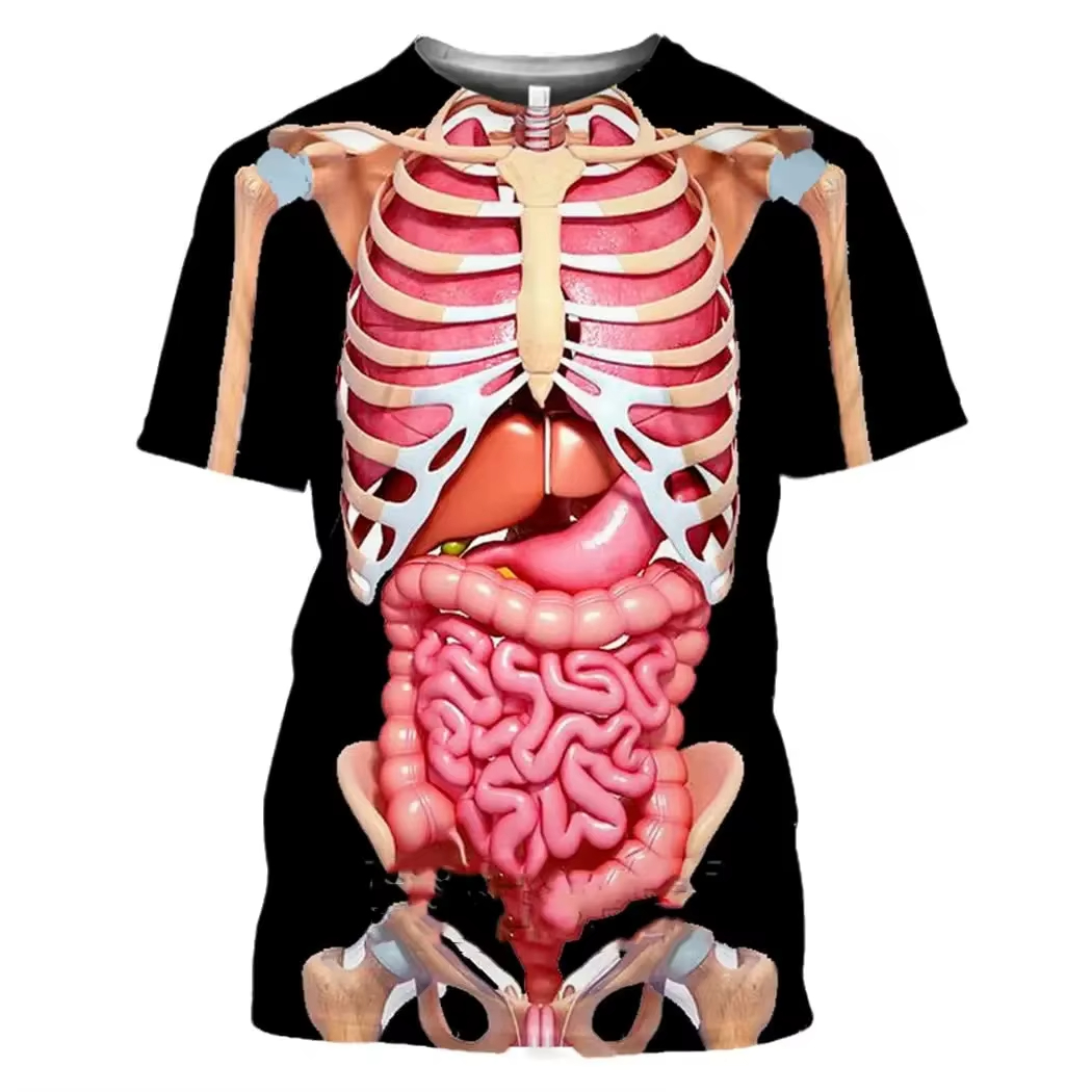 Male Skeleton Internal Organs  - 3D Printing Diagram reseña y precio