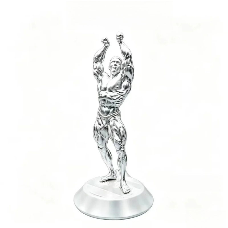Hardcore muscular male competi - 3D Printing Gold reseña y precio