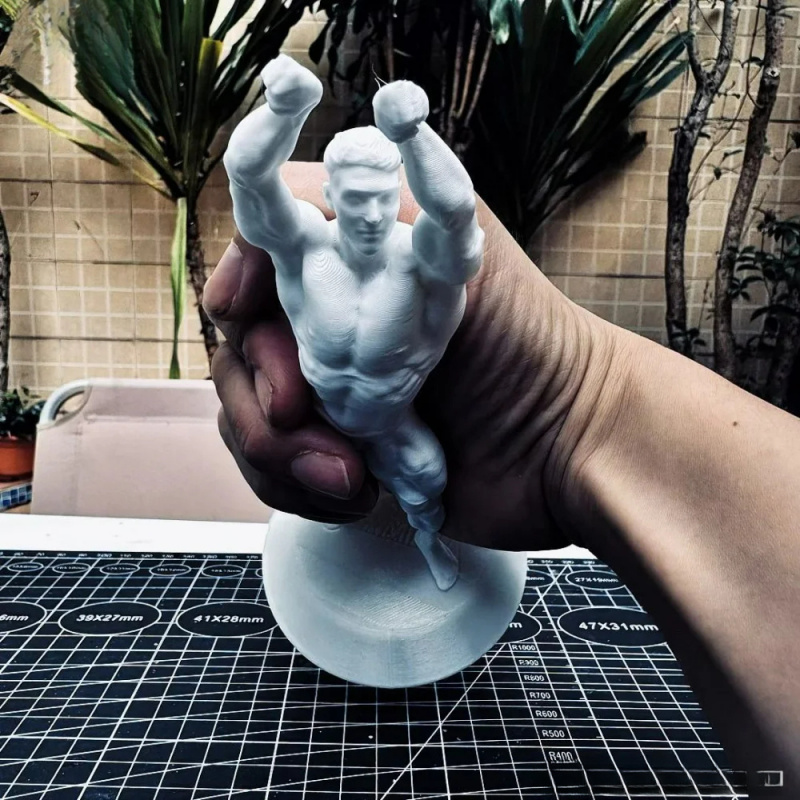 Hardcore muscular male competi - 3D Printing Gold reseña y precio