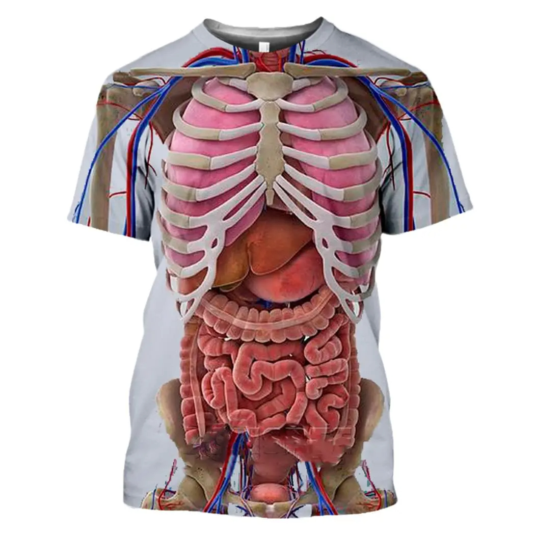 Male Skeleton Internal Organs  - 3D Printing Diagram reseña y precio