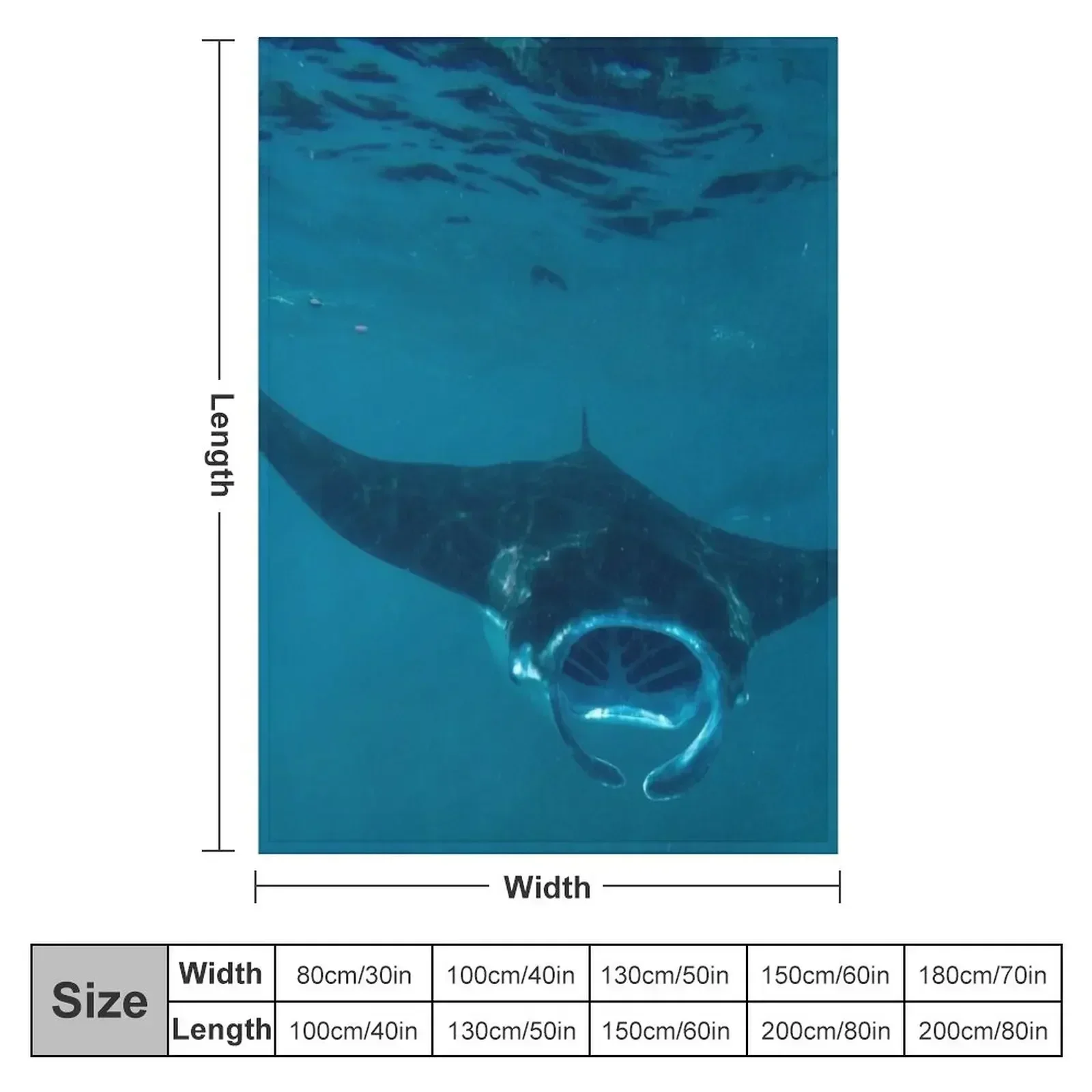 Curious Manta Ray At Crystal B - 3D Printing Bali reseña y precio
