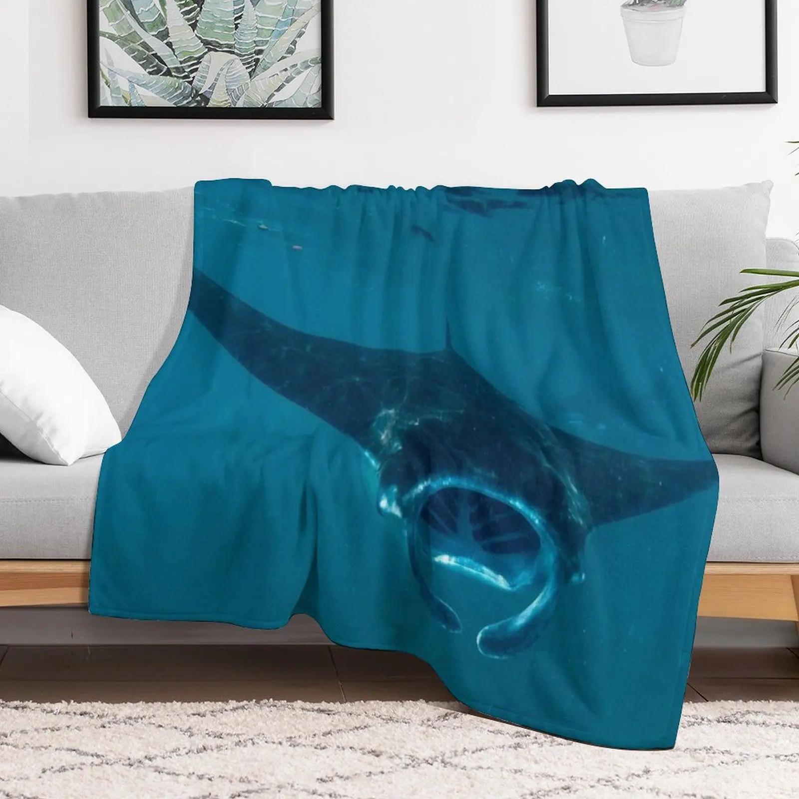 Curious Manta Ray At Crystal B - 3D Printing Bali reseña y precio