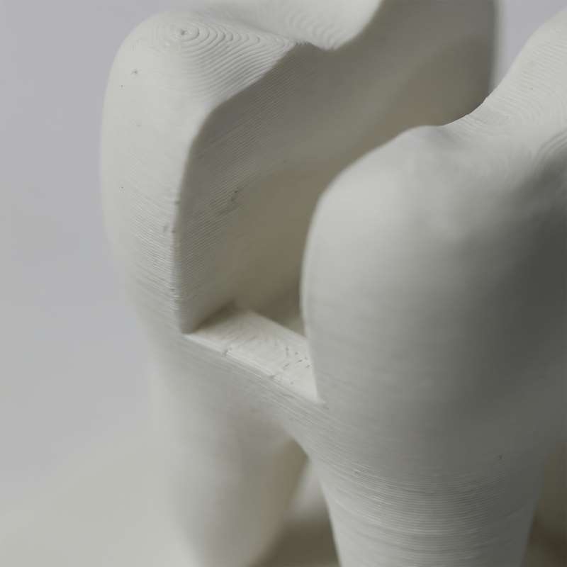 3D Printed Tooth Shaped Busine - 3D Printing Holder reseña y precio