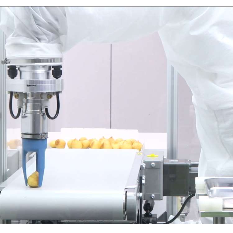 6-Axis CNC Robotic Arm with Li - Linear Guide Rail reseña y precio