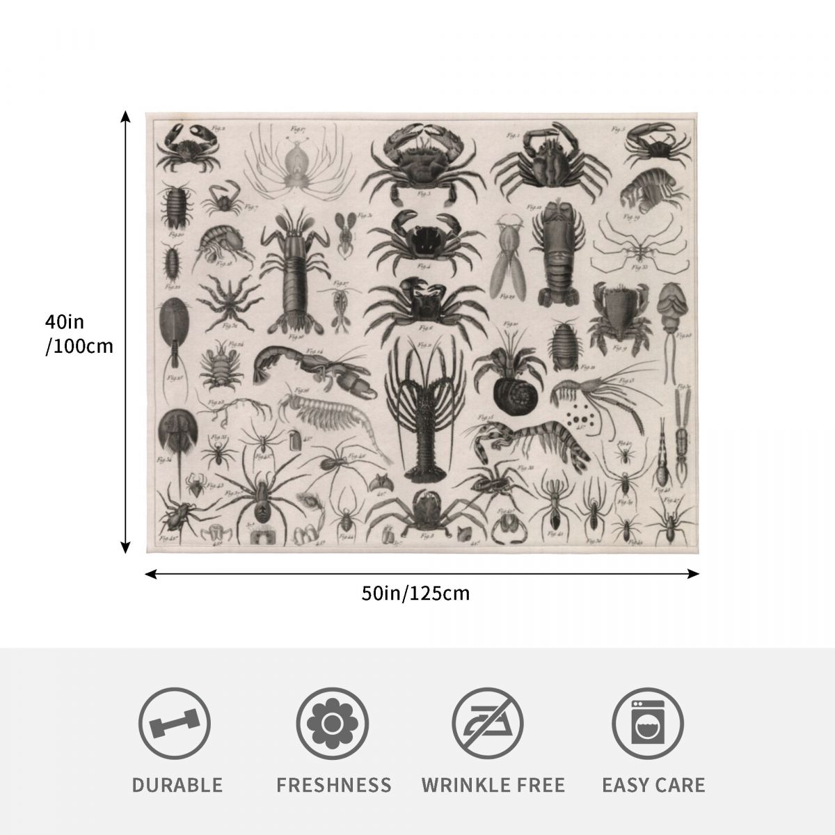 1857 Diagram Zoology: Animals  - 3D Printing Diagram reseña y precio